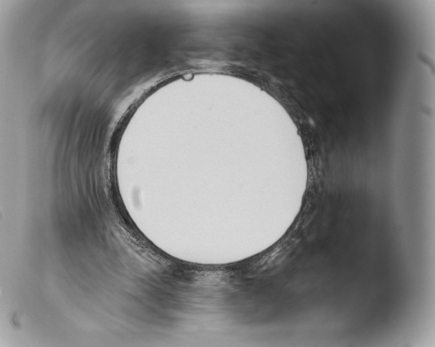 X0000103910342200810171710