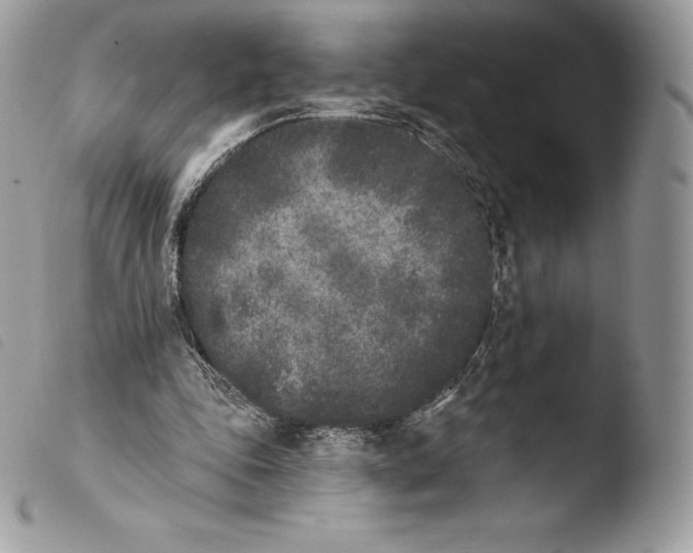 X0000103910343200810171710