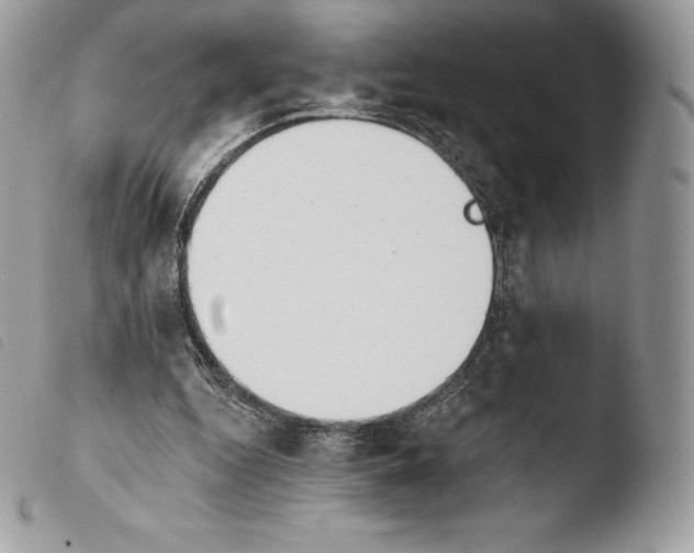 X0000103910344200810171710
