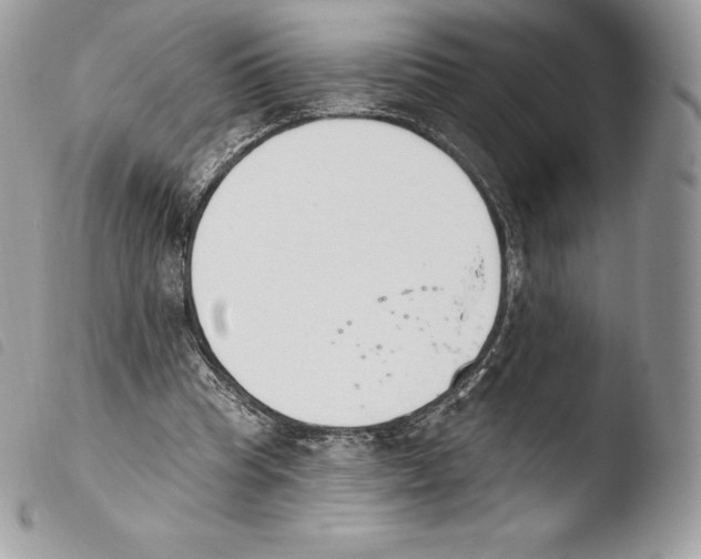 X0000103910345200810171710