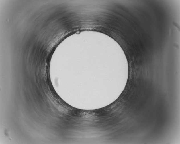 X0000103910346200810171710