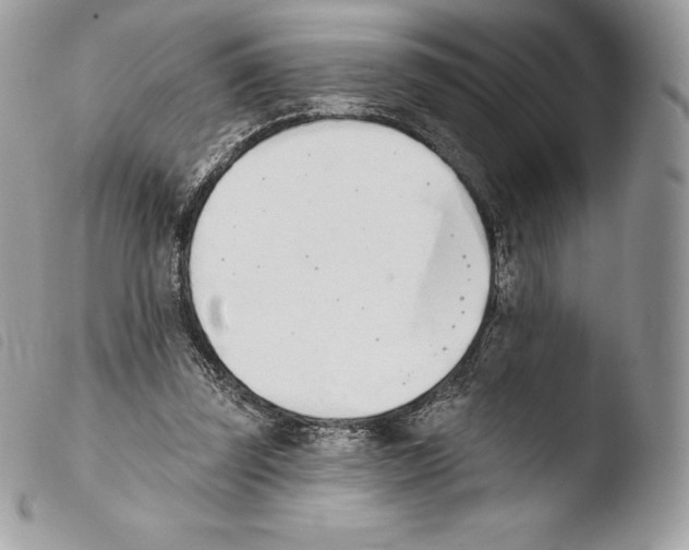 X0000103910347200810171710