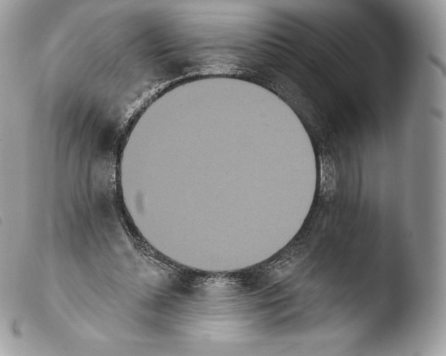 X0000103910348200810171710