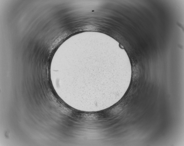 X0000103910349200810171710