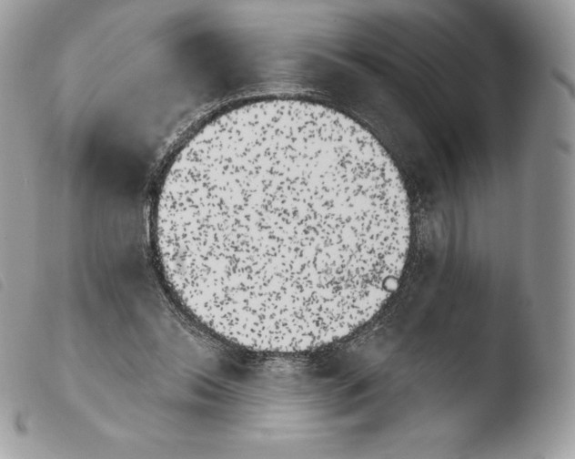 X0000103910350200810171710