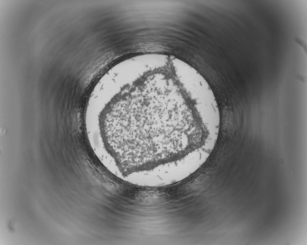 X0000103910351200810171711