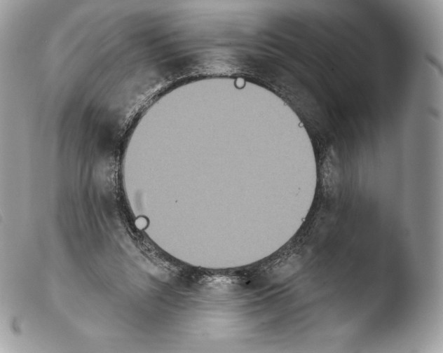 X0000103910352200810171711