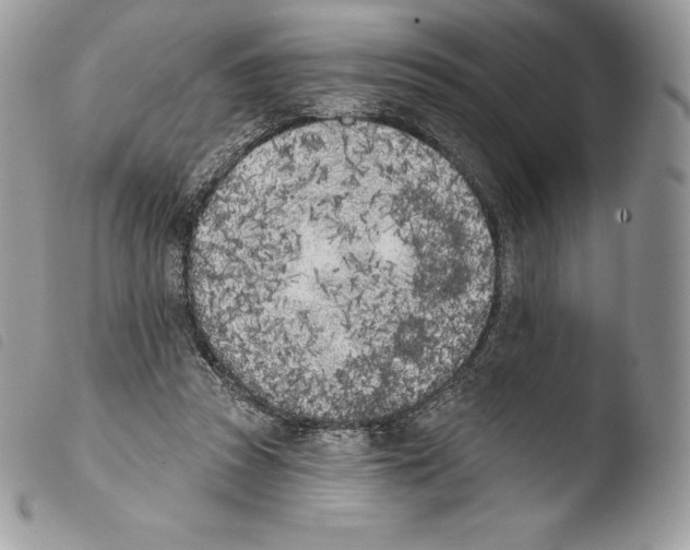X0000103910353200810171711
