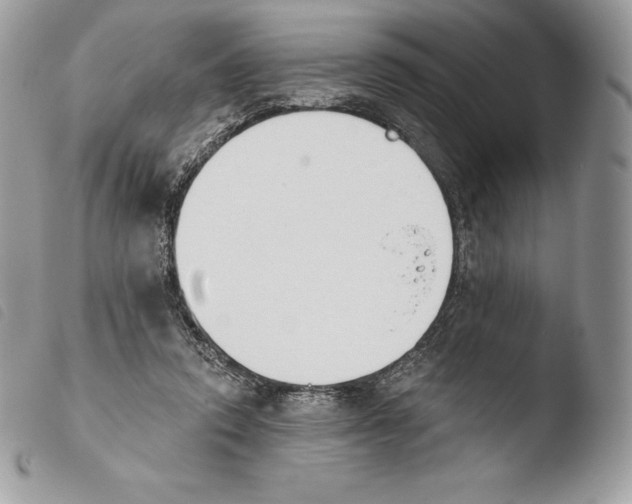 X0000103910354200810171711