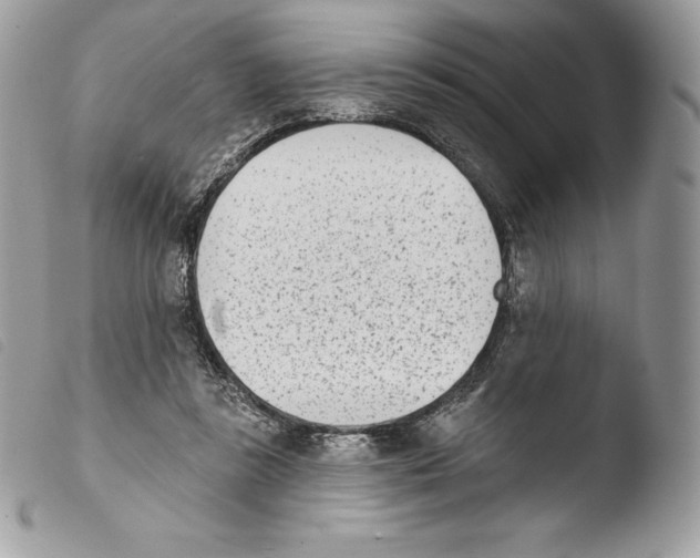 X0000103910355200810171711