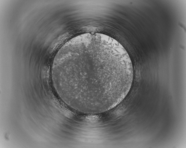 X0000103910357200810171711