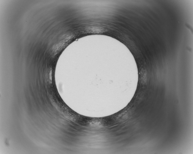 X0000103910358200810171711