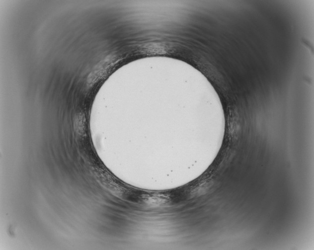 X0000103910359200810171711