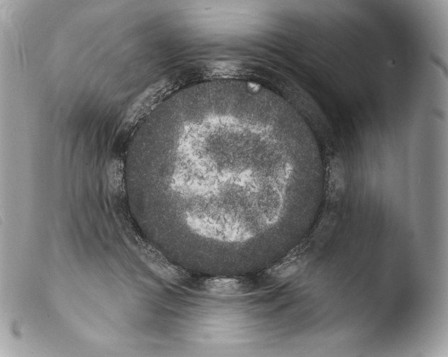 X0000103910361200810171711