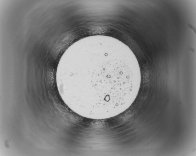 X0000103910362200810171711