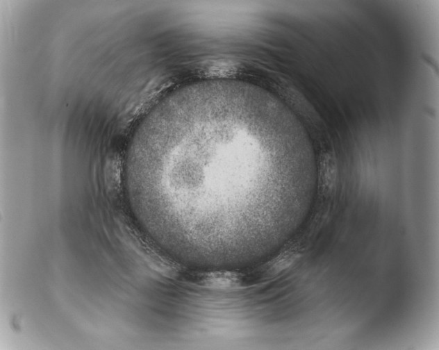X0000103910363200810171711