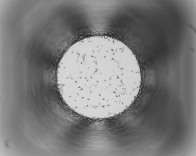 X0000103910364200810171711