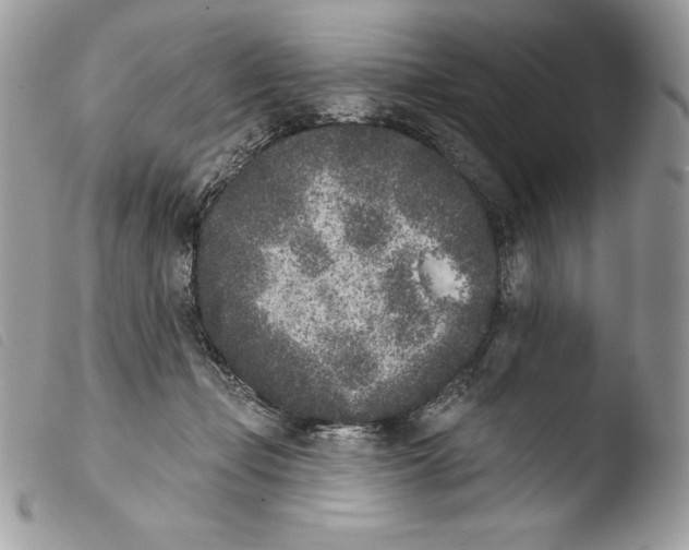 X0000103910365200810171711