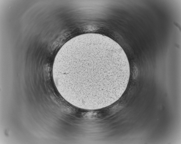 X0000103910366200810171711