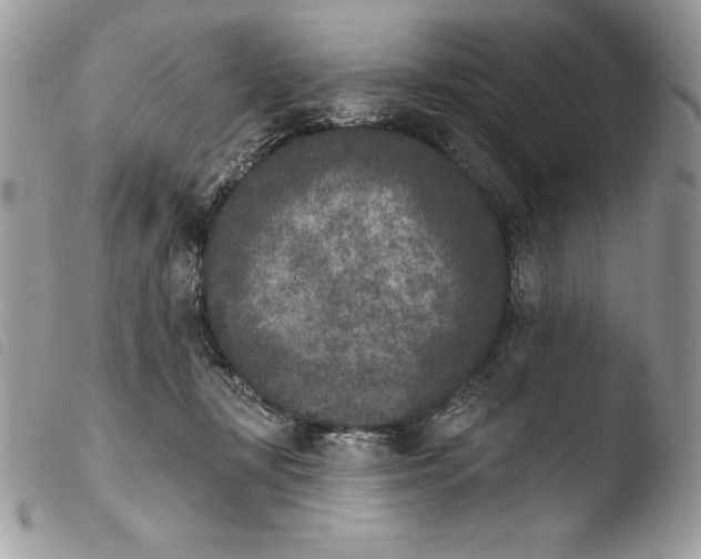 X0000103910367200810171711