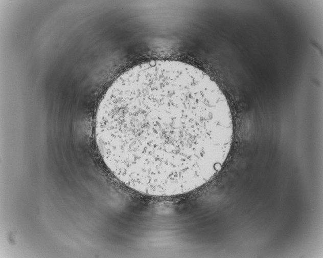 X0000103910368200810171711