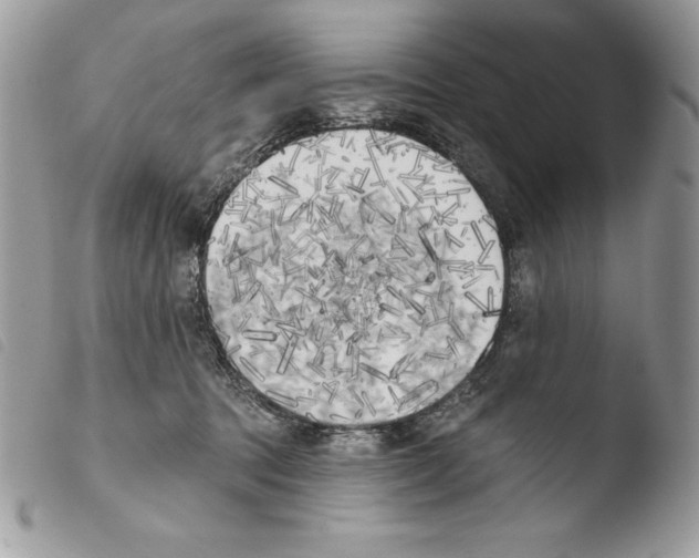 X0000103910369200810171711