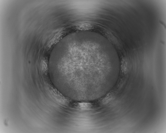 X0000103910371200810171711
