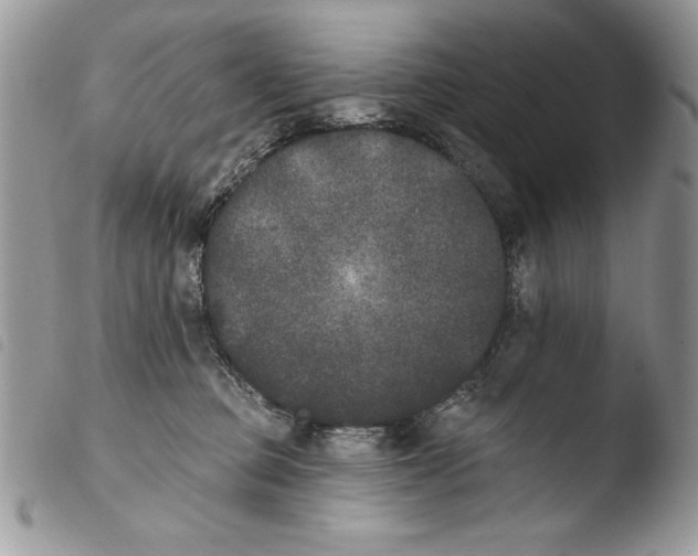 X0000103910373200810171711