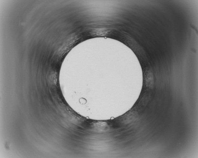 X0000103910374200810171711