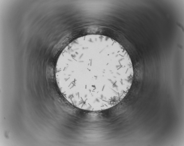 X0000103910375200810171711