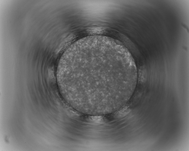 X0000103910377200810171711