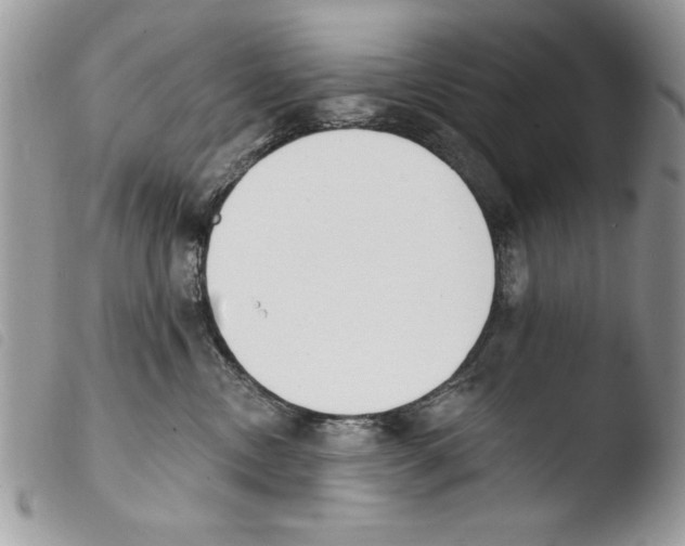 X0000103910378200810171711