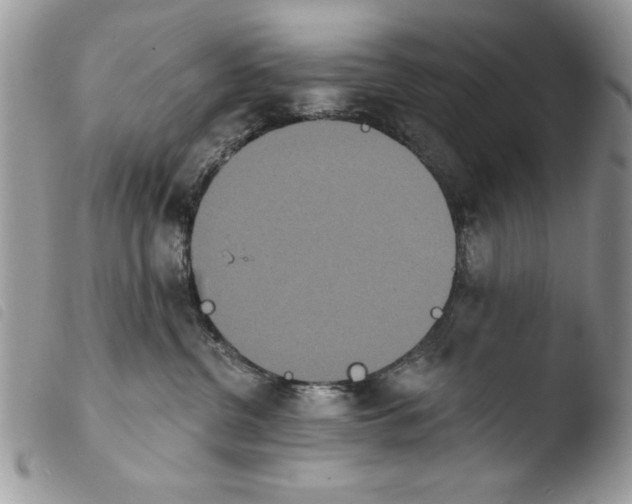 X0000103910380200810171711