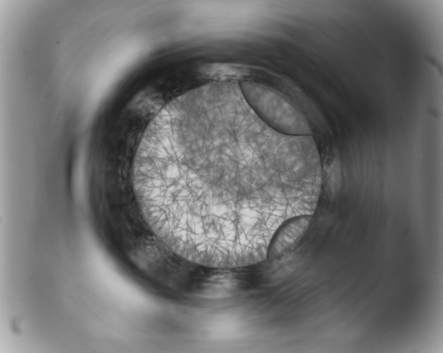 X0000103910381200810171711