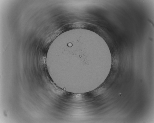 X0000103910382200810171711