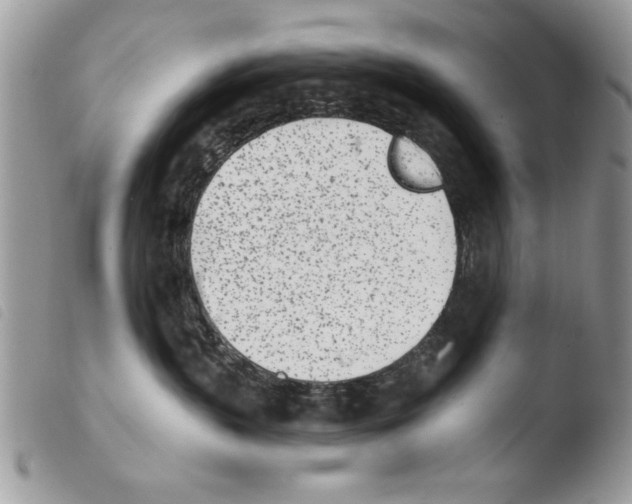 X0000103910383200810171711