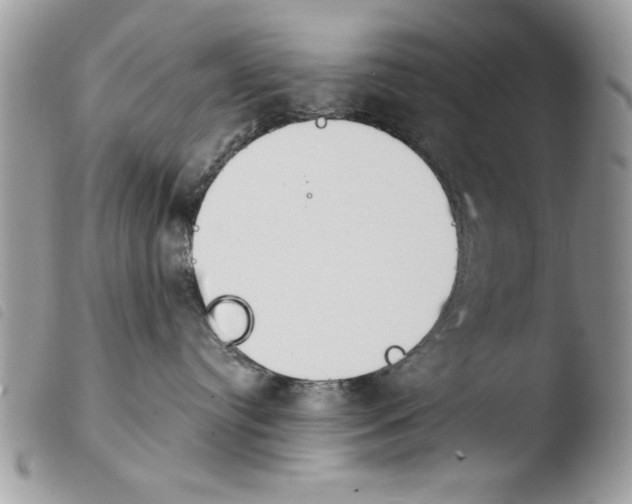 X0000103910384200810171711