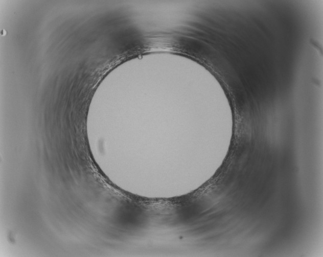 X0000103910385200810171710