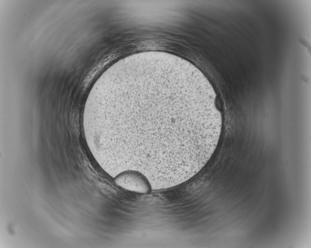 X0000103910386200810171710