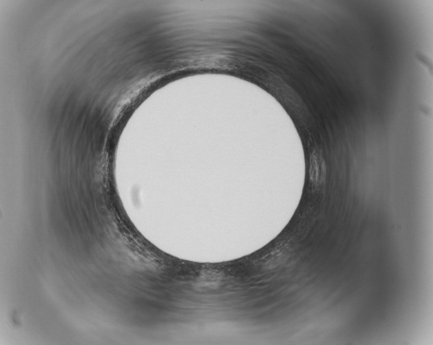 X0000103910388200810171710
