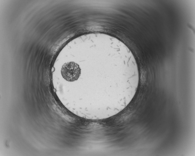 X0000103910390200810171710