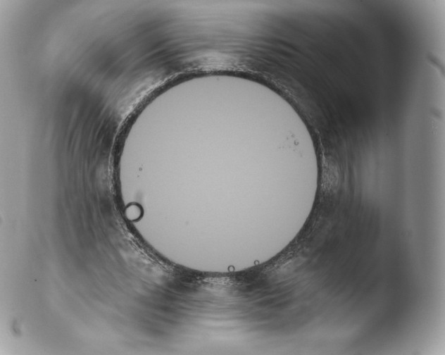 X0000103910391200810171710