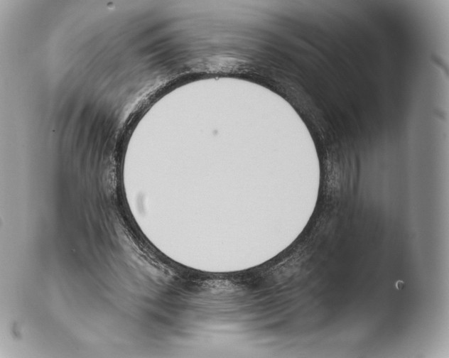 X0000103910392200810171710