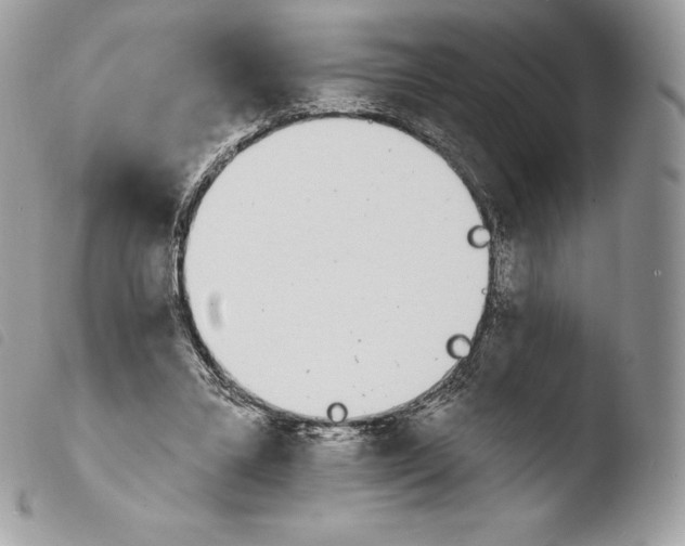 X0000103910395200810171710