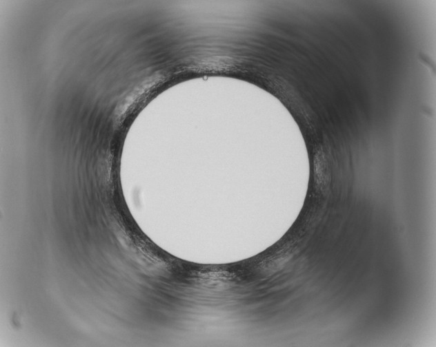 X0000103910396200810171710