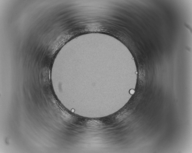 X0000103910397200810171710