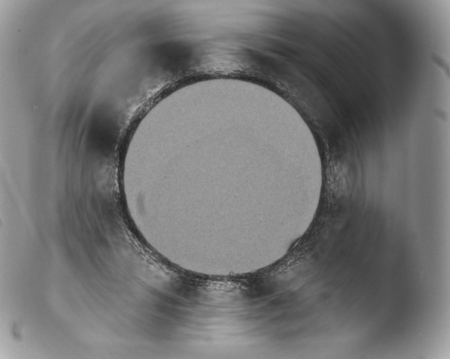 X0000103910399200810171710