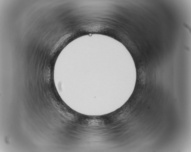 X0000103910400200810171710
