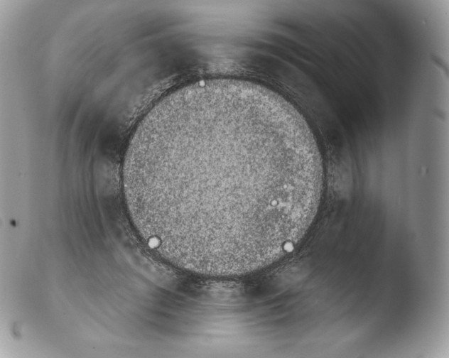 X0000103910401200810171710