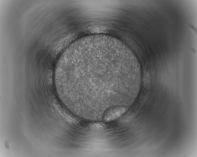 X0000103910402200810171710